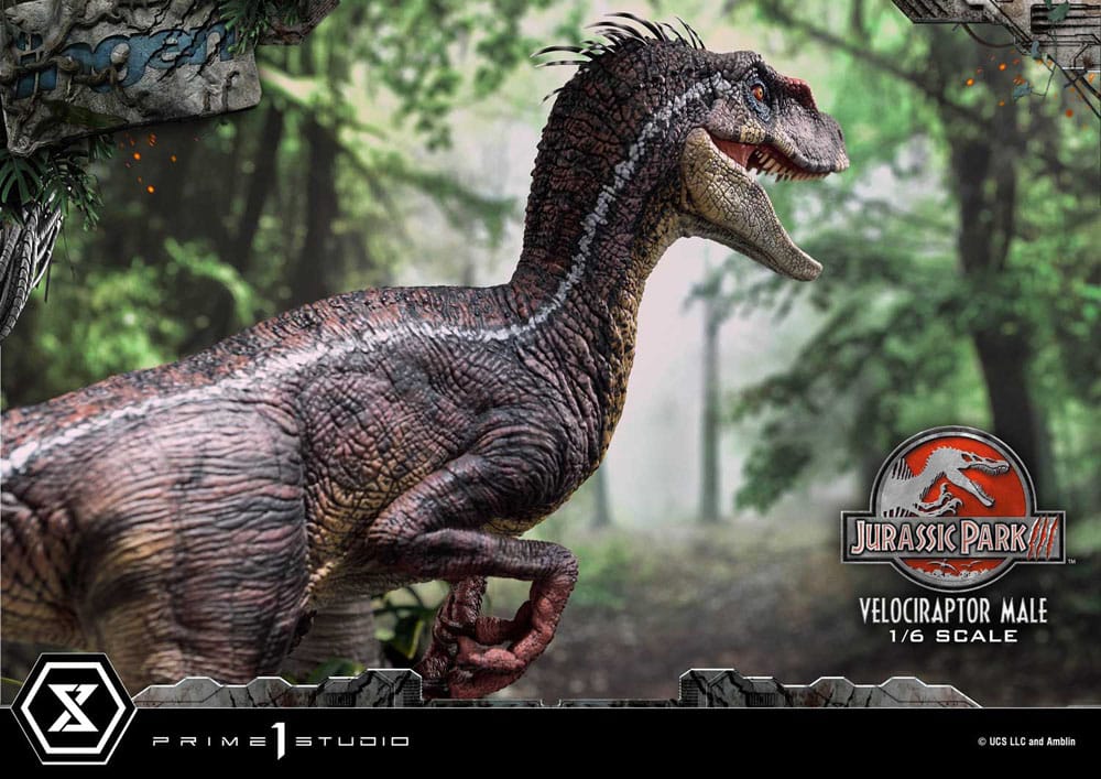 Jurassic Park III Legacy Museum Collection Statue 1/6 Velociraptor Male Bonus Version 40 cm 4580708049014