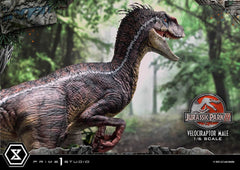 Jurassic Park III Legacy Museum Collection Statue 1/6 Velociraptor Male Bonus Version 40 cm 4580708049014