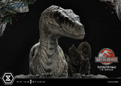 Jurassic Park III Legacy Museum Collection Statue 1/6 Velociraptor Female 44 cm 4580708049021