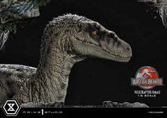 Jurassic Park III Legacy Museum Collection Statue 1/6 Velociraptor Female Bonus Version 44 cm 4580708049038