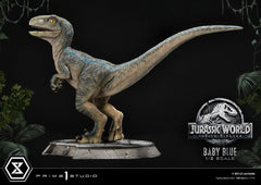 Jurassic World: Fallen Kingdom Prime Collectibles Statue 1/2 Baby Blue 34 cm 4580708035994