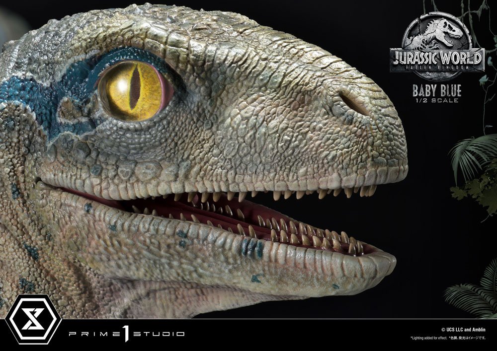 Jurassic World: Fallen Kingdom Prime Collectibles Statue 1/2 Baby Blue 34 cm 4580708035994