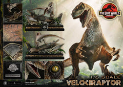 Jurassic Park II Legacy Museum Collection Statue 1/6 Velociraptor 41 cm  4582647122681
