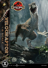 Jurassic Park II Legacy Museum Collection Statue 1/6 Velociraptor 41 cm  4582647122681