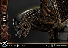 Alien 3 Museum Masterline Series Statue 1/3 Dog Alien XL 114 cm 4582647121127