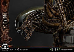Alien 3 Museum Masterline Series Statue 1/3 Dog Alien XL 114 cm 4582647121127