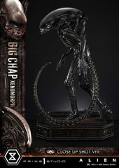 Alien (Film) Museum Masterline XL Statue 1/3 Big Chap Xenomorph Close Up Shot Ver. 100 cm 4582647123961