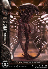 Alien (Film) Museum Masterline XL Statue 1/3 Big Chap Xenomorph Close Up Shot Ver. 100 cm 4582647123961