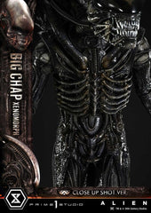 Alien (Film) Museum Masterline XL Statue 1/3 Big Chap Xenomorph Close Up Shot Ver. 100 cm 4582647123961