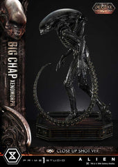 Alien (Film) Museum Masterline XL Statue 1/3 Big Chap Xenomorph Close Up Shot Ver. Deluxe Version 100 cm 4582647123978