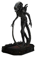Alien (Film) Museum Masterline XL Statue 1/3 Big Chap Xenomorph Close Up Shot Ver. Deluxe Version 100 cm 4582647123978