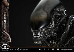 Alien Museum Masterline XL Statue 1/3 Big Chap Xenomorph Regular Ver. Bonus Version 100 cm 4582647124333