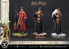 Harry Potter Prime Collectibles Statue 1/6 Ha 4580708048932