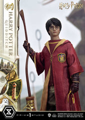 Harry Potter Prime Collectibles Statue 1/6 Ha 4580708048932