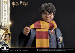 Harry Potter Prime Collectibles Statue 1/6 Harry Potter 28 cm 4580708049069