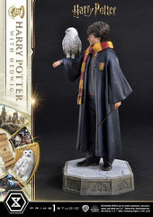 Harry Potter Prime Collectibles Statue 1/6 Harry Potter with Hedwig 28 cm 4580708049076