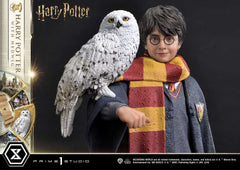 Harry Potter Prime Collectibles Statue 1/6 Harry Potter with Hedwig 28 cm 4580708049076