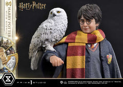 Harry Potter Prime Collectibles Statue 1/6 Harry Potter with Hedwig 28 cm 4580708049076