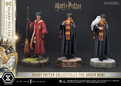 Harry Potter Prime Collectibles Statue 1/6 Harry Potter with Hedwig 28 cm 4580708049076