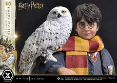 Harry Potter Prime Collectibles Statue 1/6 Harry Potter with Hedwig 28 cm 4580708049076