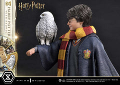 Harry Potter Prime Collectibles Statue 1/6 Harry Potter with Hedwig 28 cm 4580708049076