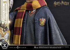 Harry Potter Prime Collectibles Statue 1/6 Harry Potter with Hedwig 28 cm 4580708049076