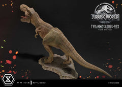 Jurassic World: Fallen Kingdom (Film) Prime Collectible Figures Statue 1/38 Tyrannosaurus Rex 23 cm 4582647124036