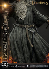 Lord of the Rings Statue 1/4 Gandalf the Grey 61 cm 4580708044019