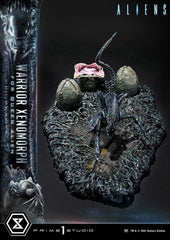 Aliens (Film) Ultimate Diorama Masterline Statue Warrior Xenomorph for Queen Alien 23 cm 4582647124975