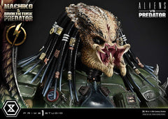 Aliens vs. Predator (Comic) Ultimate Premium Masterline Statue 1/4 Machiko & Broken Tusk Predator 79 cm 4582647125309