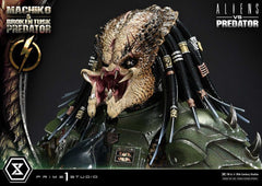 Aliens vs. Predator (Comic) Ultimate Premium Masterline Statue 1/4 Machiko & Broken Tusk Predator 79 cm 4582647125309