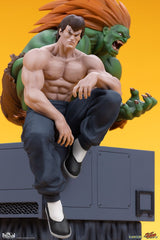 Street Fighter PVC Statues 1/10 Blanka & Fei Long 21 cm 0656793638069