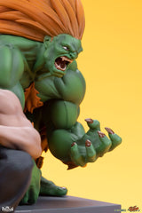 Street Fighter PVC Statues 1/10 Blanka & Fei Long 21 cm 0656793638069