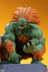 Street Fighter PVC Statues 1/10 Blanka & Fei Long 21 cm 0656793638069
