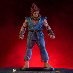 Street Fighter PVC Statues 1/10 Akuma & Dhalsim 21 cm 0712179860650