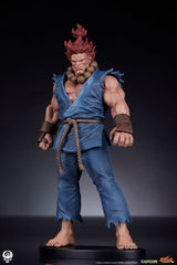 Street Fighter PVC Statues 1/10 Akuma & Dhalsim 21 cm 0712179860650