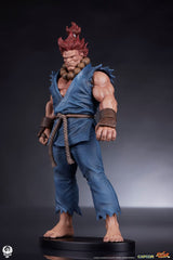 Street Fighter PVC Statues 1/10 Akuma & Dhalsim 21 cm 0712179860650