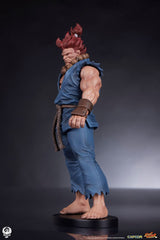 Street Fighter PVC Statues 1/10 Akuma & Dhalsim 21 cm 0712179860650