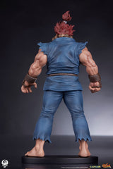 Street Fighter PVC Statues 1/10 Akuma & Dhals 0712179860650