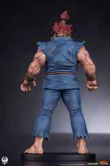Street Fighter PVC Statues 1/10 Akuma & Dhalsim 21 cm 0712179860650