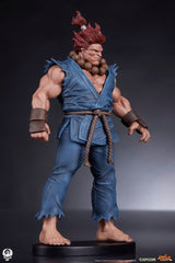 Street Fighter PVC Statues 1/10 Akuma & Dhalsim 21 cm 0712179860650