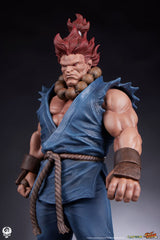Street Fighter PVC Statues 1/10 Akuma & Dhalsim 21 cm 0712179860650