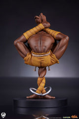 Street Fighter PVC Statues 1/10 Akuma & Dhalsim 21 cm 0712179860650