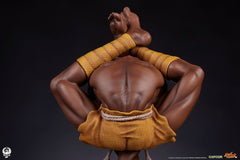 Street Fighter PVC Statues 1/10 Akuma & Dhalsim 21 cm 0712179860650