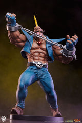 Street Fighter PVC Statues 1/10 Cammy & Birdie 24 cm 0712179860988