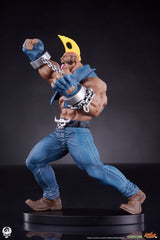 Street Fighter PVC Statues 1/10 Cammy & Birdie 24 cm 0712179860988