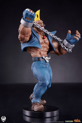 Street Fighter PVC Statues 1/10 Cammy & Birdie 24 cm 0712179860988