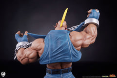 Street Fighter PVC Statues 1/10 Cammy & Birdie 24 cm 0712179860988