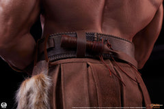 Conan the Barbarian Elite Series Statue 1/2 Conan 116 cm 0783214378416