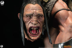 Conan the Barbarian Statue 1/4 Conan Deluxe Edition 63 cm 0783214379659